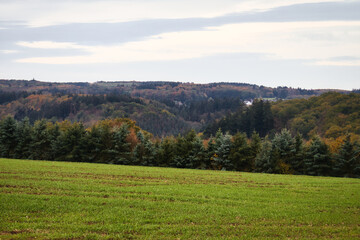 Tree covered hills behind a field  in the Rhineland Palatinate region of Germany on a fall day.