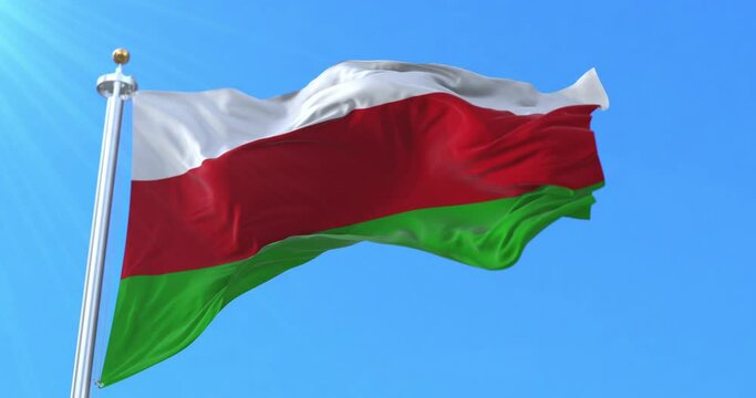 Sincelejo City Flag, Sucre, Colombia. Loop