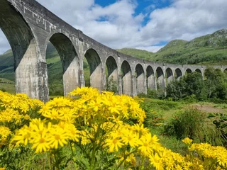 Papier Peint photo Viaduc de Glenfinnan Glenfinnan Viaduct in Scotland 