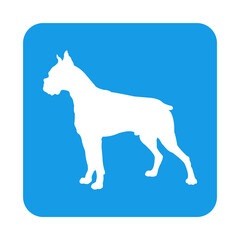 Obraz premium Razas de perro. Silueta de perro boxer en cuadrado de color azul