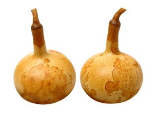 Calabash isolated on white background