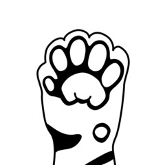 トラの肉球（前足の裏）