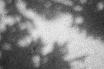 Leaves shadow on floor cement black and white and blured. silhouette on structure dark concrete display with free space. new design for background concept.