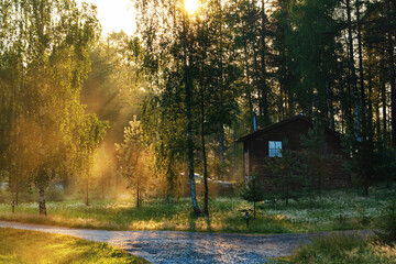 Morning landscape at the edge of the forest. The sun's rays make their way through the branches and fog. In the foreground is a dirt road, a small brown house is visible behind the trees.