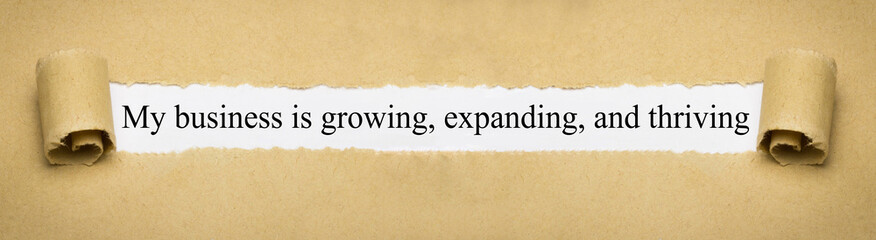 My business is growing, expanding, and thriving