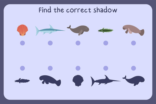 Matching children educational game with sea animals - shall, swordfish, dugon, manatees, catfish. Find the correct shadow. Vector illustration.