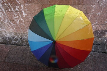 Obraz premium Love, Pride and Diversity will prevail 