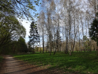 Obraz premium Nature, sun, birds and flowers