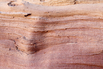 light wood surface with wavy veins close-up. chipped hardwood texture