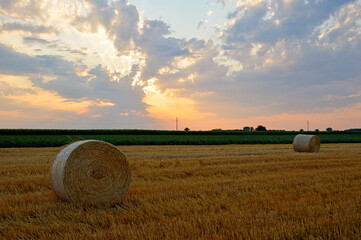 round straw bales lying in the harvested wheat filed with colorful sunset sky in the background