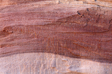 light wood surface with dark veining close-up. slice texture hardwood