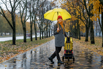 Young mother with baby carriage and yellow umbrella is walking along the alley of autumn park.