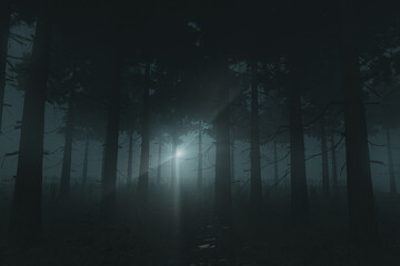 3d rendering of pine forest with fern plants illuminated from the flashlight