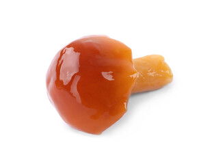 Tasty marinated honey fungus mushroom isolated on white