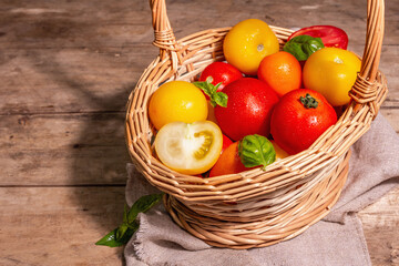 Ripe assorted tomatoes with fresh basil in a wicker basket