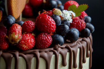 A beautiful and bright cake on a dark background.