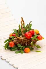 Körbchen mit bunten Pflaumen