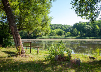Wooden table with benches under green trees by the river. Quality image for your project