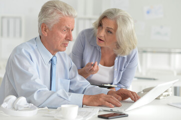 senior couple working together in office