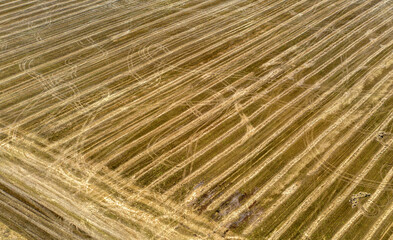 Aerial view of agricultural landscape with fields in spring season.