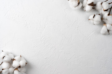 Cotton flower branch on white background with copy space.