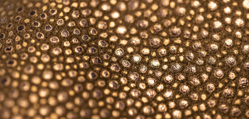 Texture brown bubbles spots