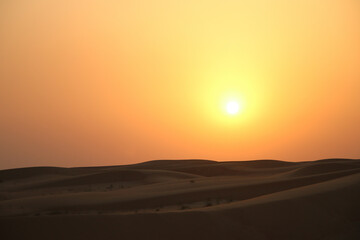 Fototapeta premium sunset in the Dubai desert 