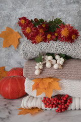 Fototapeta na wymiar Autumn still life with knitted sweaters, fallen leaves, pumpkins and mountain ash.
