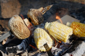 mushrooms and corn grilling in the woods close up