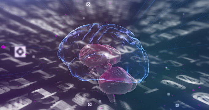 Image of binary coding numbers changing with human brain spinning - Powered by Adobe