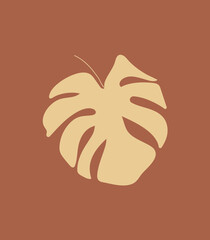 Mostera palm leaves illustration. Vector exotic tropical background.