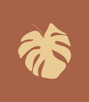 Mostera palm leaves illustration. Vector exotic tropical background.