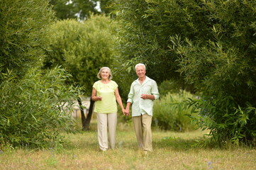 Naklejka na ściany i meble Porait of senior couple posing in the park