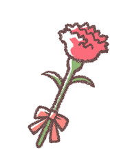 母の日のカーネーション