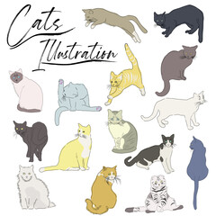 Cats Illustration
