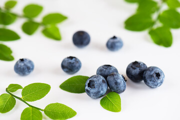 Blueberries with twigs and leaves on a white background.