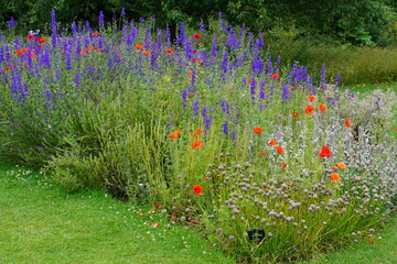 Cambridge Botanical gardens in summer, photographed in June 2021