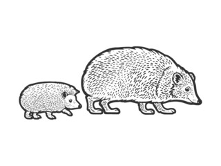 mother hedgehog with cub sketch raster © Oleksandr Pokusai