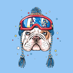 Cute cartoon english bulldog in winter hat and ski goggles. Stylish image for printing on any surface