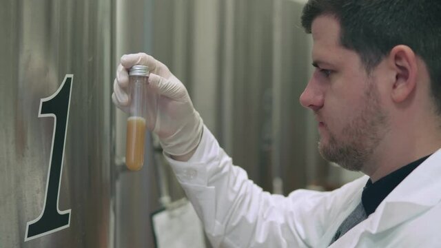 The chief technologist takes a sample of the beer preparation