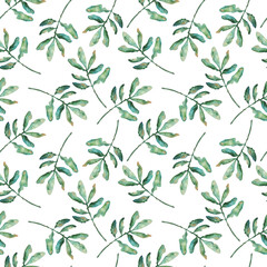 Watercolor seamless pattern with garden plants on white background