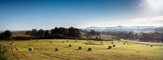 early morning landscape with hay bales in french ardennes