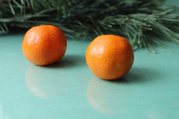 two three citrus tangerines in the peel of unpeeled lie next to a branch of a Spruce Tree tree on a green background. Christmas New Year's Eve atmosphere