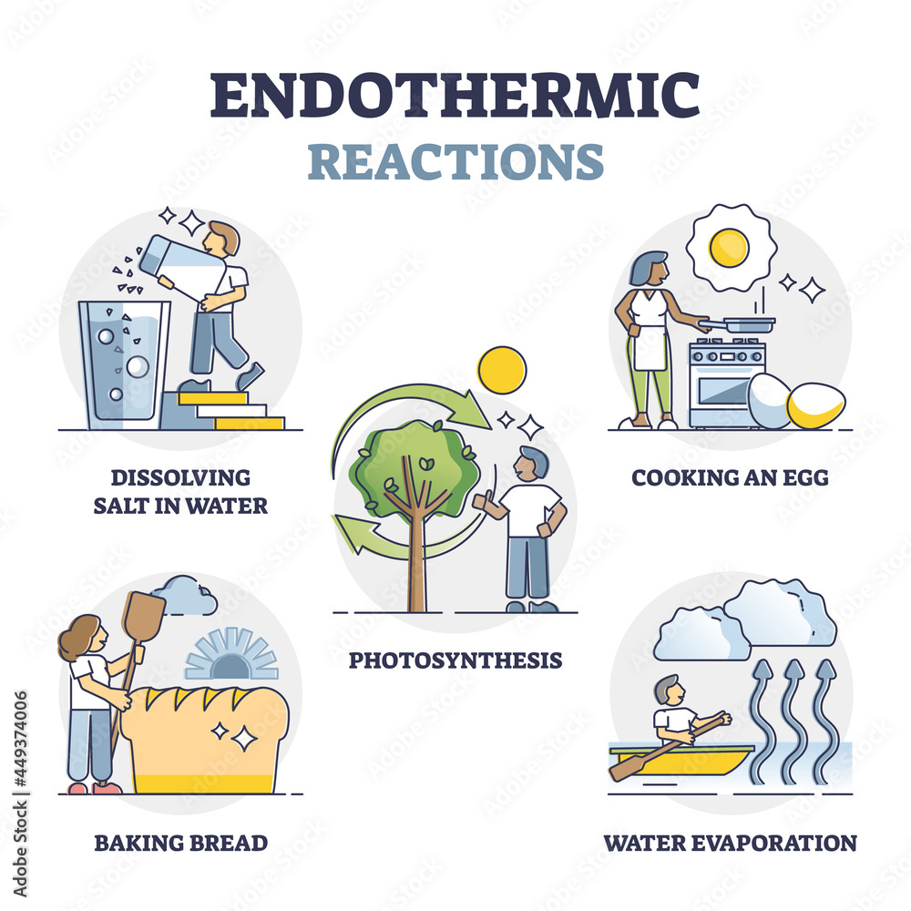 Poster endothermic reactions list with external energy outline collection set. educational labeled examples