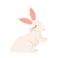 small rabbit animal
