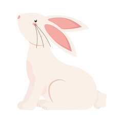 little rabbit animal