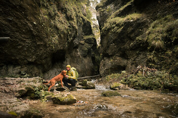 Traveler Man trekker with him dog walk around mountains in sunny day. Backpacker walking in Outdoors. Health care, authenticity, sense of balance and calmness.