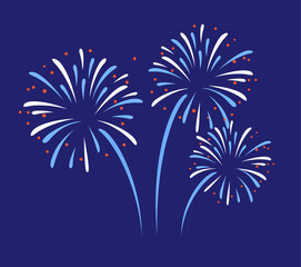 Firework vector pattern display celebration.