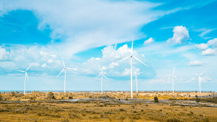 wind mill energy farm