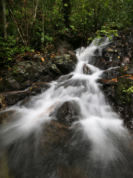 Waterfall In The Daintree Rainforest